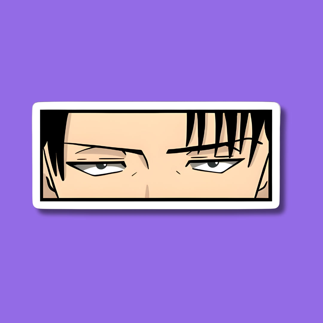 Levi Eyes Sticker