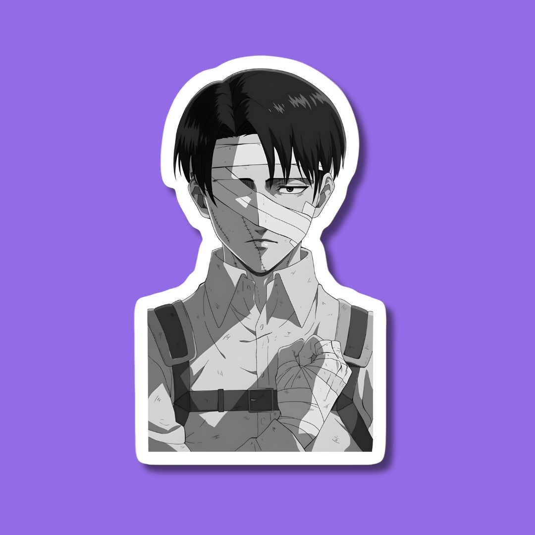 Levi Monochrome Sticker