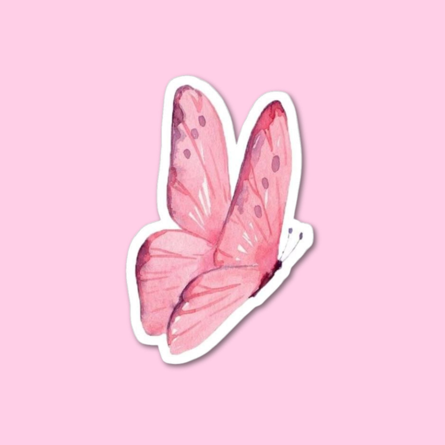 Butterfly Sticker